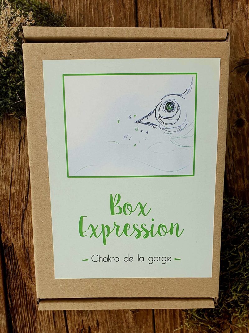 box "Expression" pour chakras de la gorge