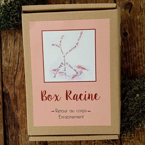 box Racine pour favoriser l'ancrage